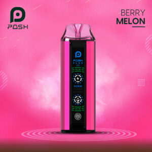 Posh Plus 2.0 Berry Melon – 20000 Puffs Vape