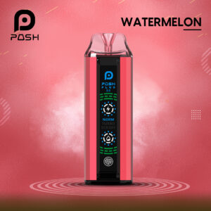 Posh Plus 2.0 Watermelon – 20000 Puffs Vape