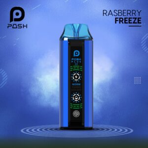 Posh Plus 2.0 Raspberry Freeze – 20000 Puffs Vape
