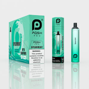 Posh Pro Spearmint 5500 – Disposable Pen